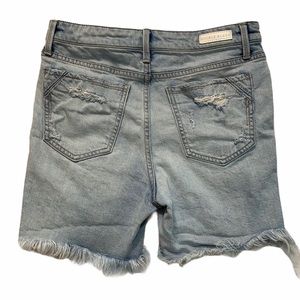 Buckle Black Destroyed High Rise Jean Shorts Size 26